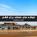 توسعه قشم